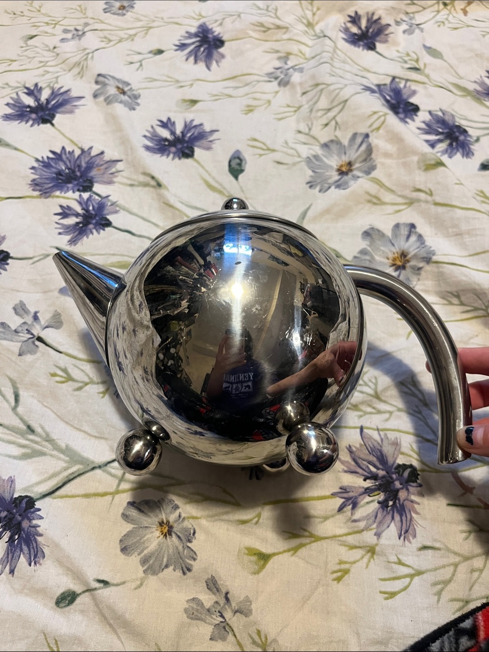 Stainless Steel Silver Teapot - Polished Modern Design
